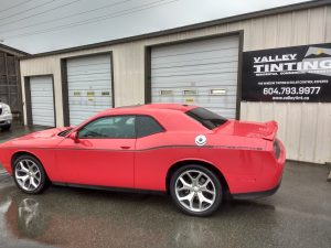 Luxury cars tinting